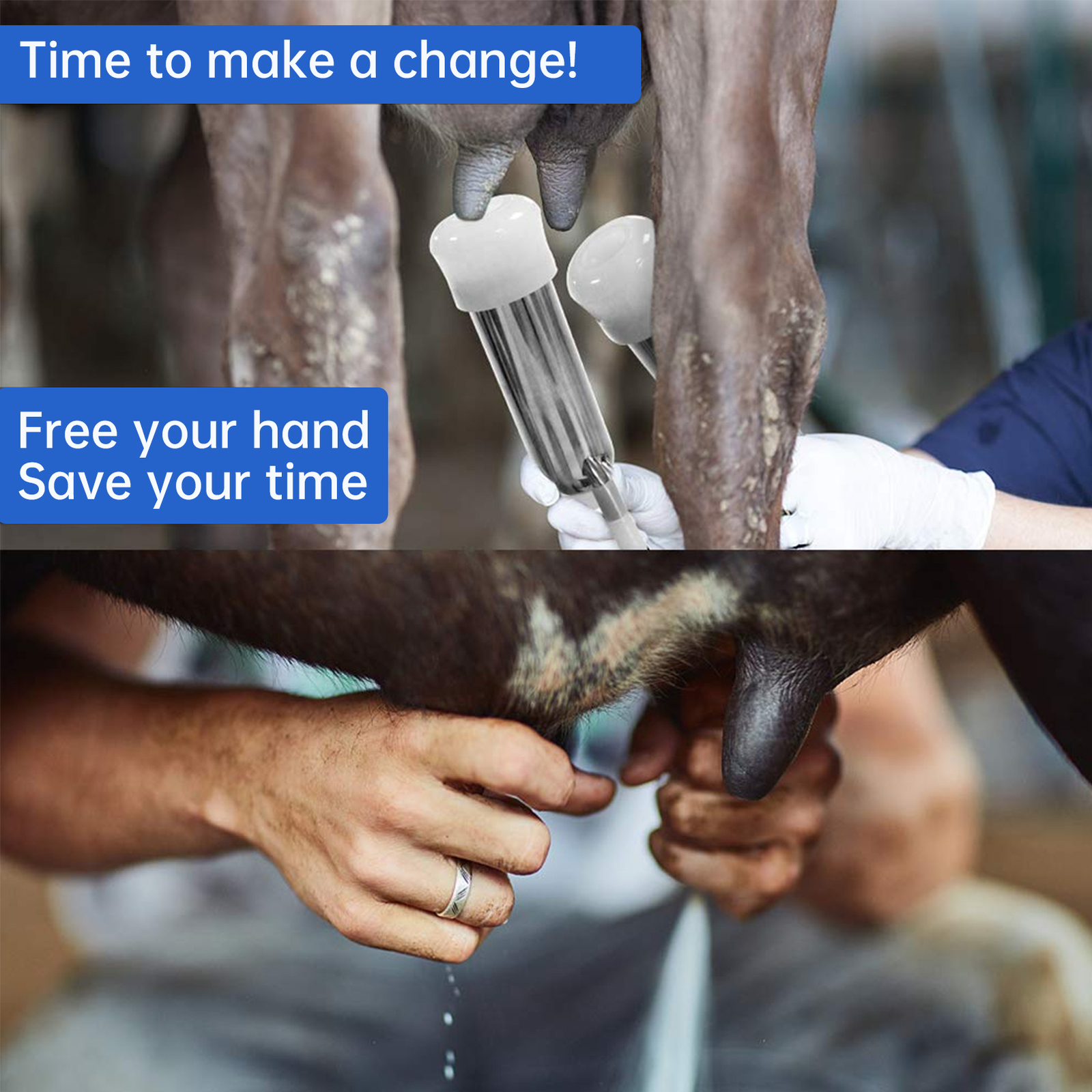 9L DualHead Sheep Goat Cow Milking Machine Vacuum Impulse 304 Steel Pump Milker-