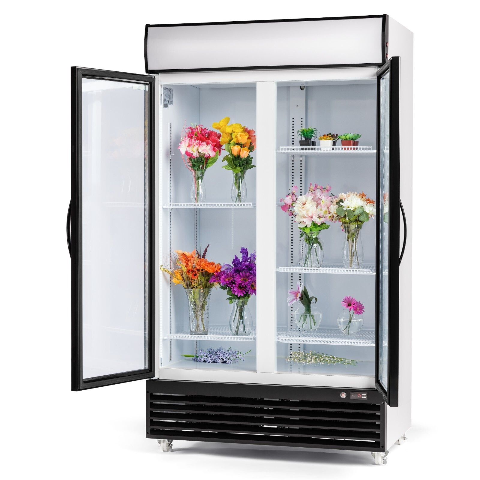 Procool CSD-1000 2 Door Display FLOWER Cooler Merchandiser Refrigerator