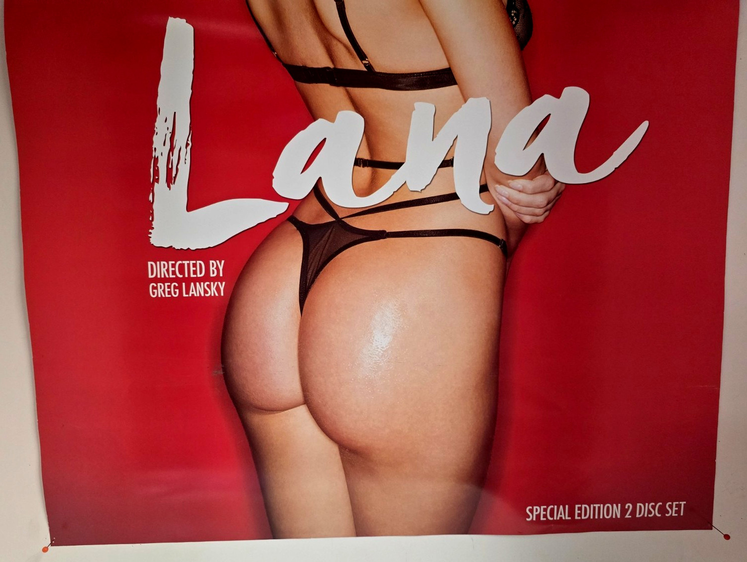 2 Sided 2017 TUSHY LANA / VIXEN "YOUNG & BEAUTIFUL" PROMO POSTER (19"X27")