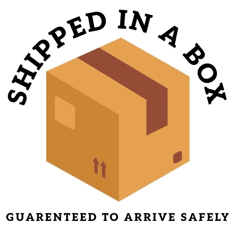 STRAW COWBOY HAT Black with Silver Star Black Band (Adult Size) Shipped in a Box