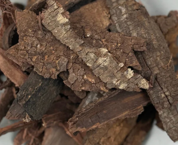 Tepez Tree Whole Bark Mexican Fresh tenuiflora Batch Mimosa USA Hand Cut Pieces