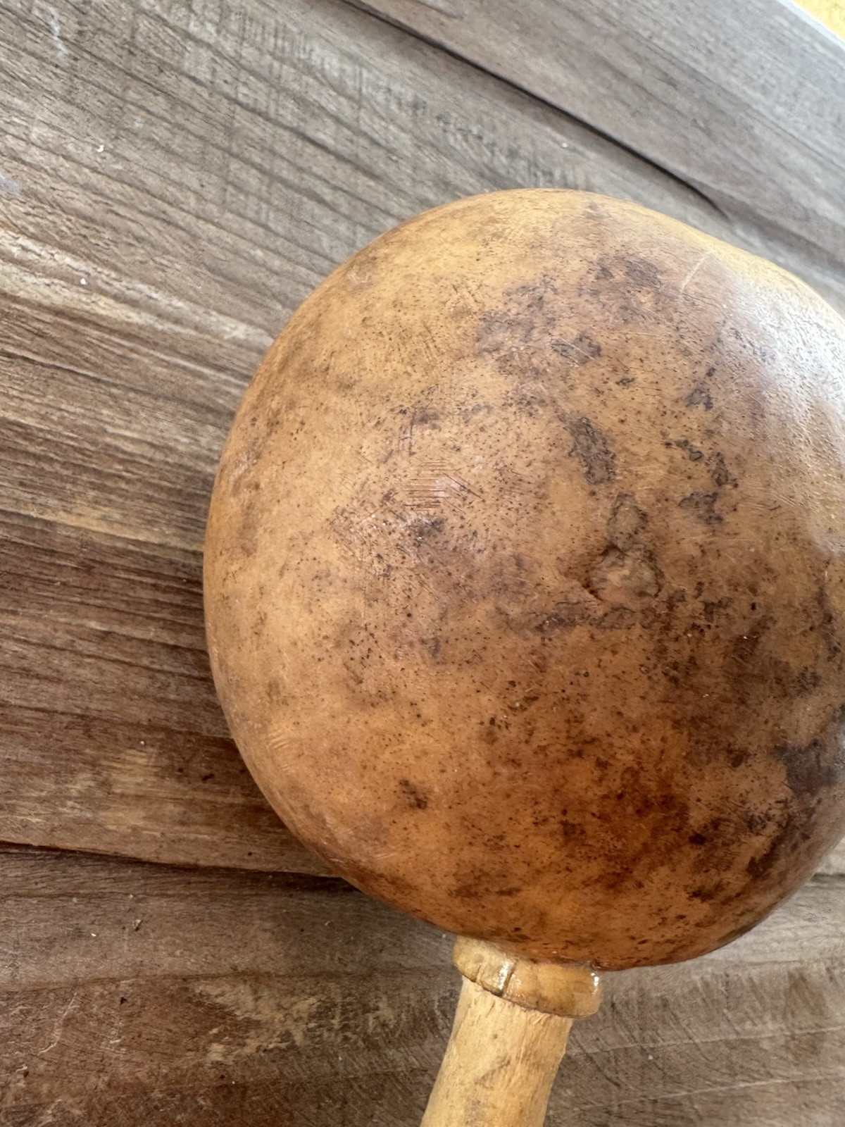 Vintage Decorated Gourd Rattle Turtle Design Folk Art Handcrafted