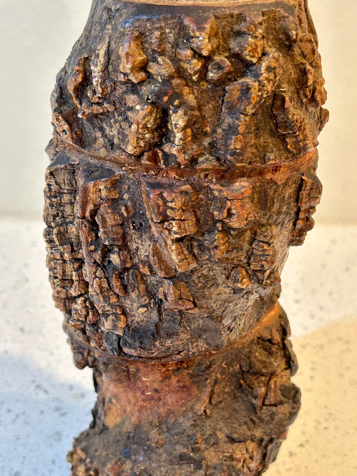 Burl Wood Bottle with Branch Handle from Parque Georgia Brazil - RARE Unusual!