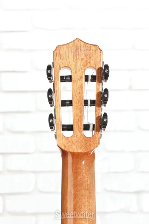 Cordoba Fusion Orchestra CE Nylon String Acoustic Guitar - Cedar