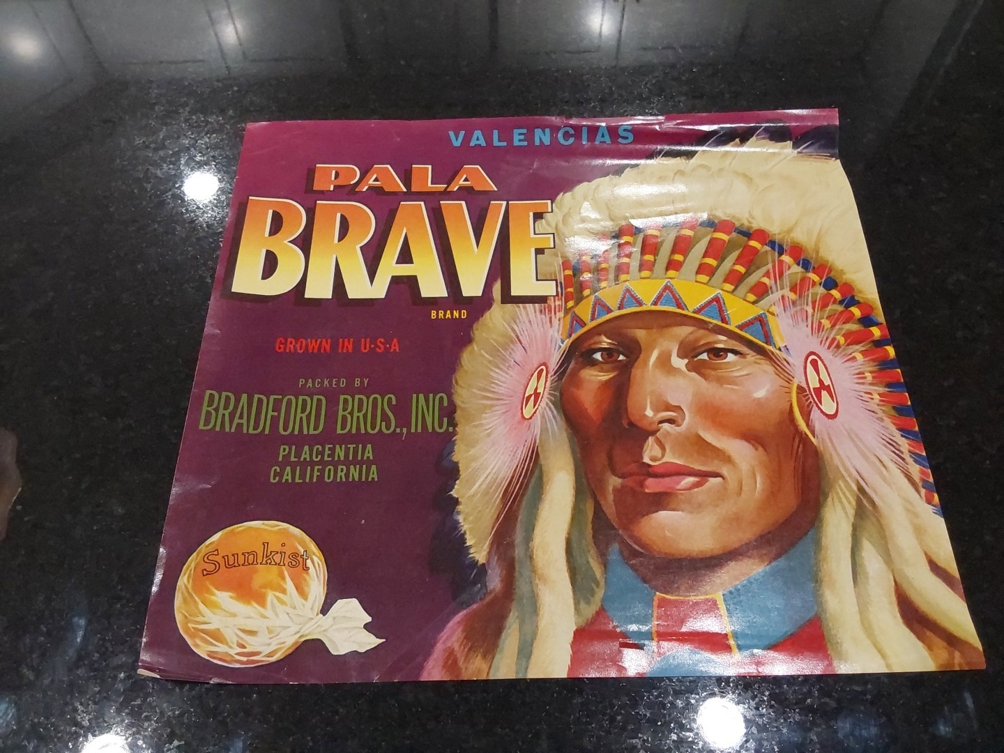 Native American Utes Chief Buckskin Charlie Photochrom Detroit Photographic Co.