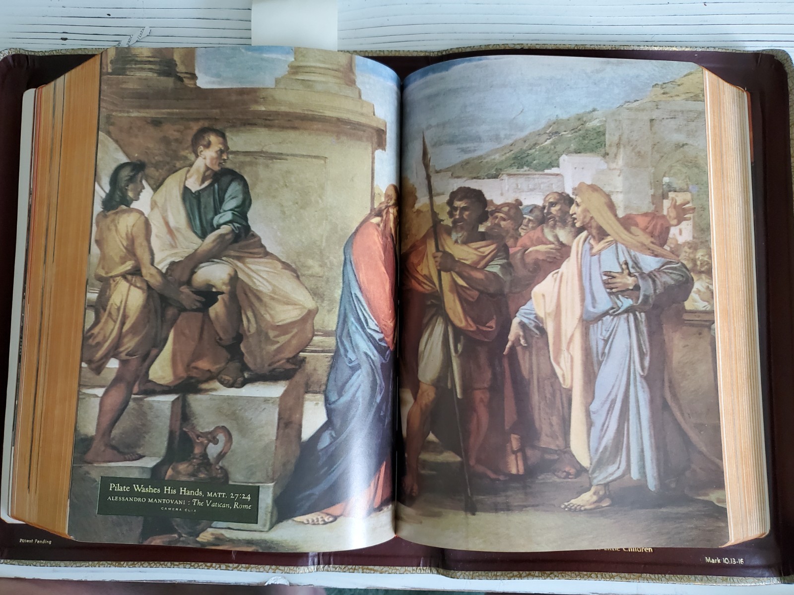 VTG Holy Bible Douay-Challoner & Confraternity Text 1951 White Illustrat Book