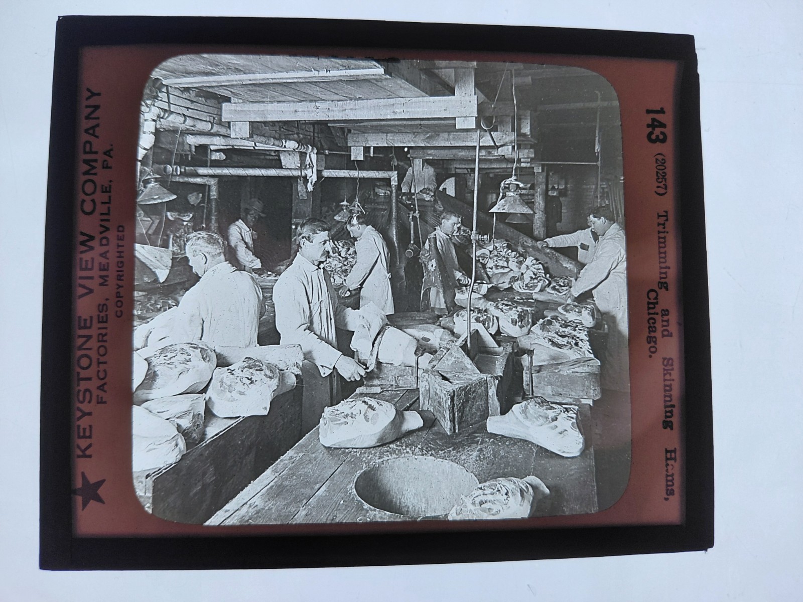 Magic Lantern Glass Slide Photo Keystone  P143 Trimmknv Skinning Ham Chicago