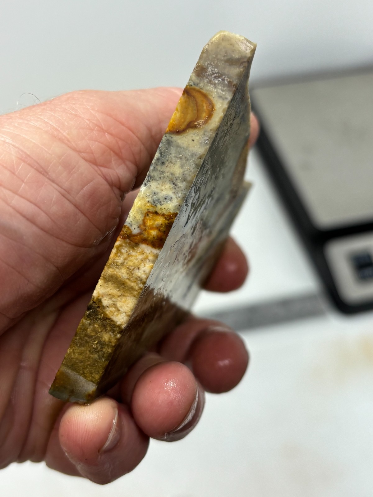 Disaster Peak Picture Jasper Slab Cabbing Lapidary Collecting Combo Ship Avail