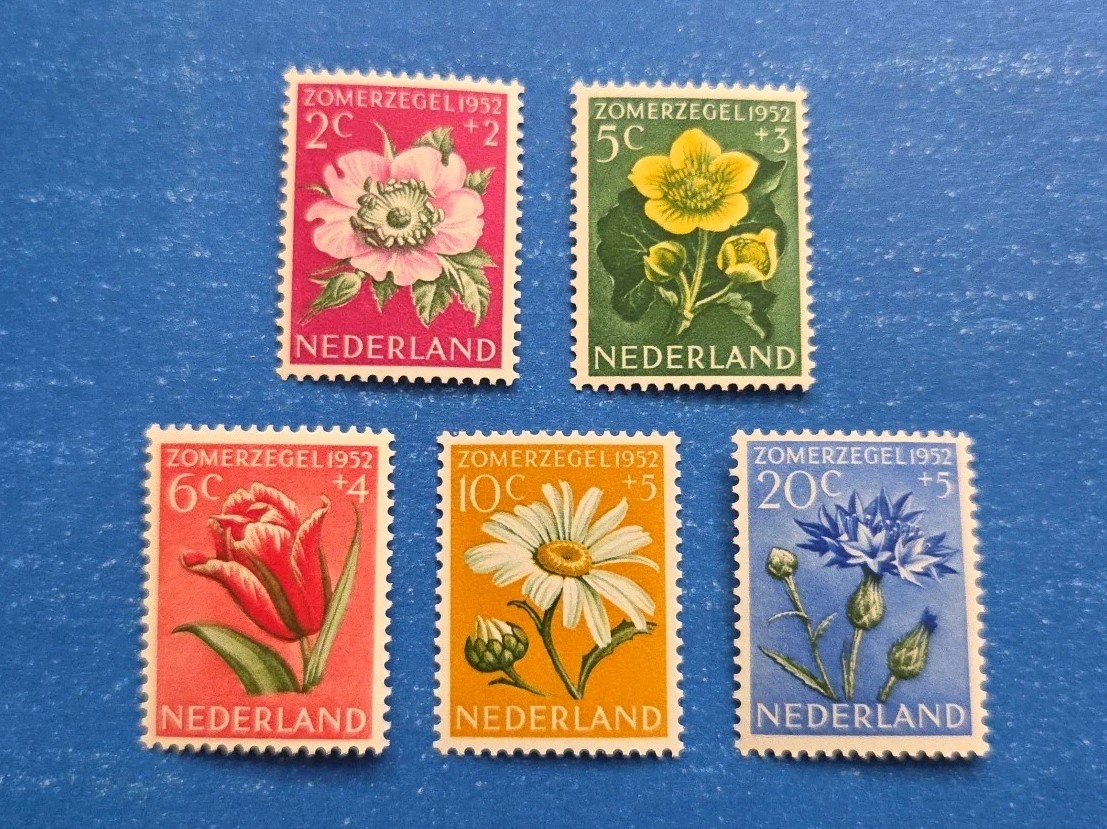 Netherlands Stamps, Scott B238-B242 Complete Set MNH