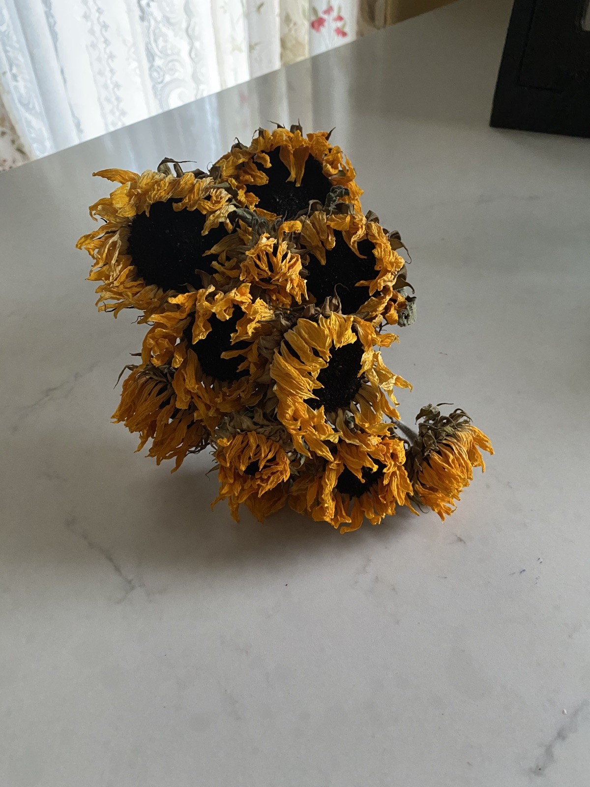 SUNFLOWERS Orange DRIED FLOWER Bunch BOUQUET Bundle USA Grown SUN FLOWERS Auc#1