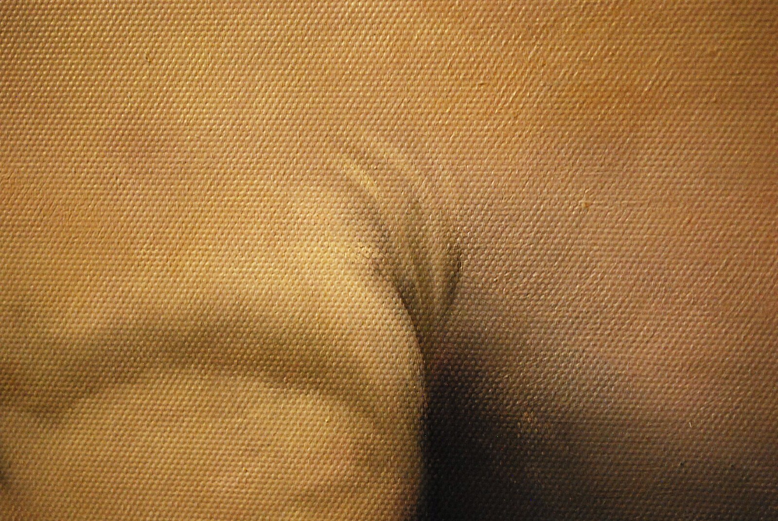 HORSE RUNNING ALONG OCEAN Original Art ACRYLIC PAINTING/CANVAS Signed 36" x 24"