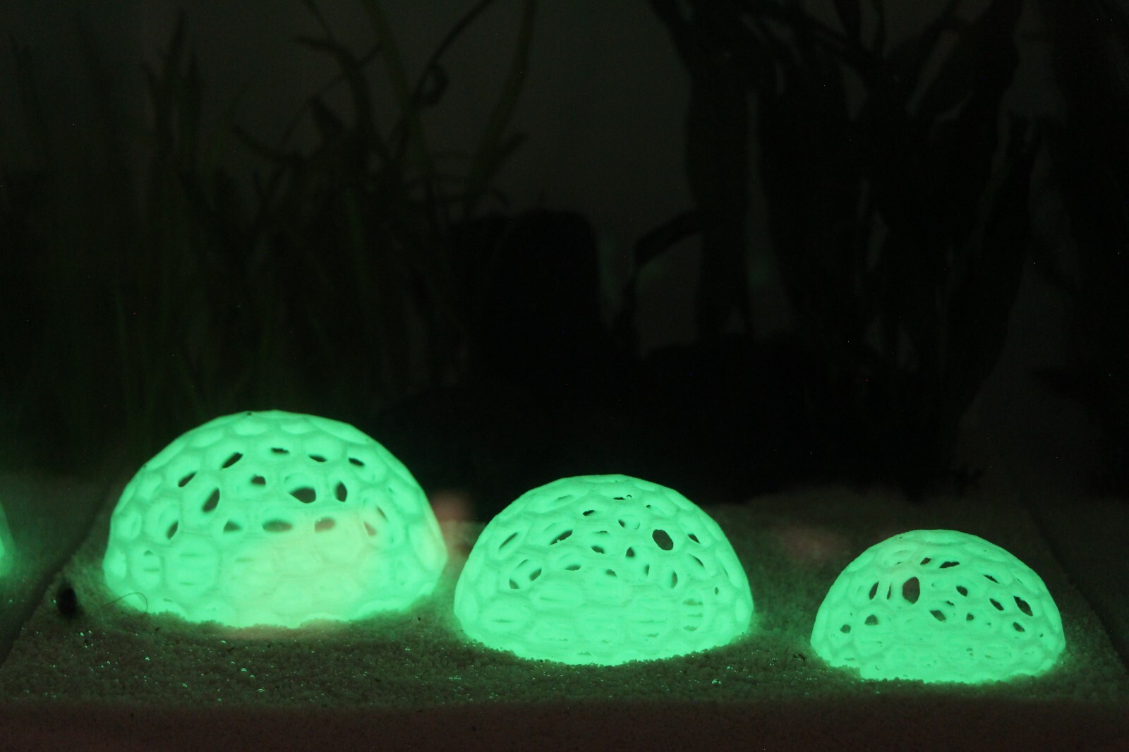 Shrimp Dome Shelter Aquarium Decoration