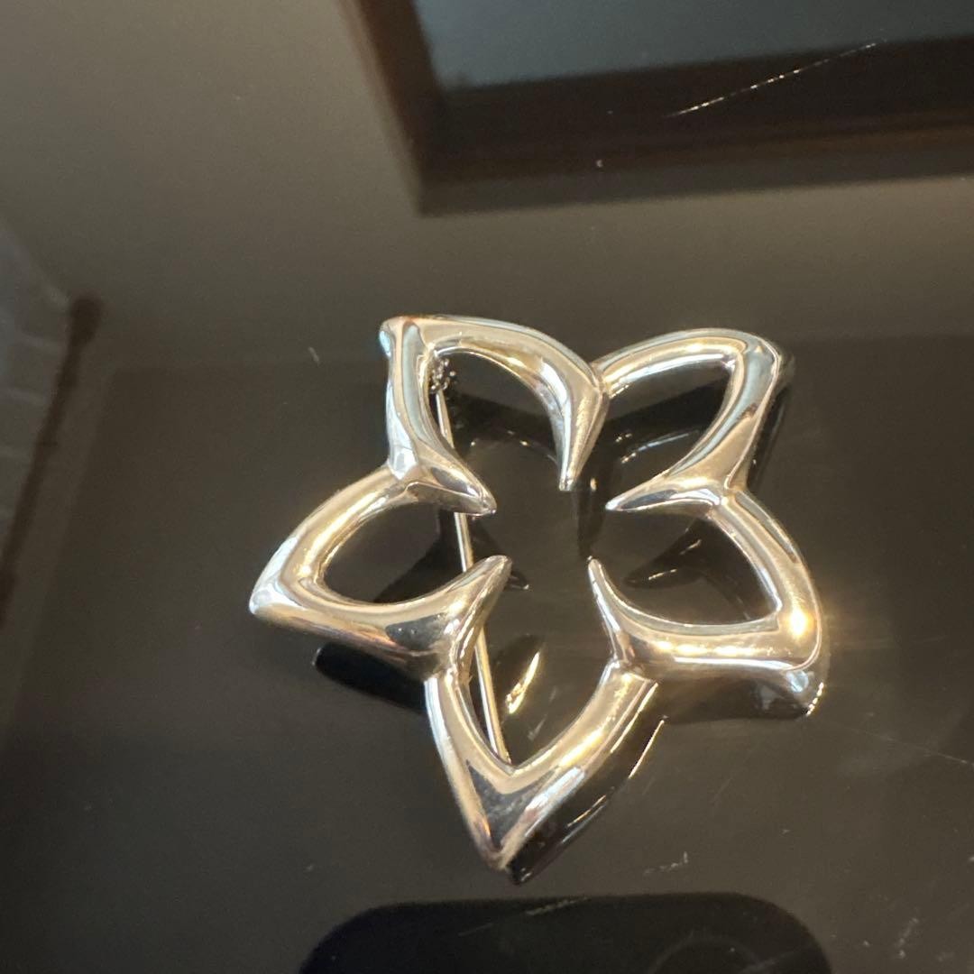 Tiffany & Co. Plumeria Flower Brooch Pin Sterling Silver SV925 No Box Rare