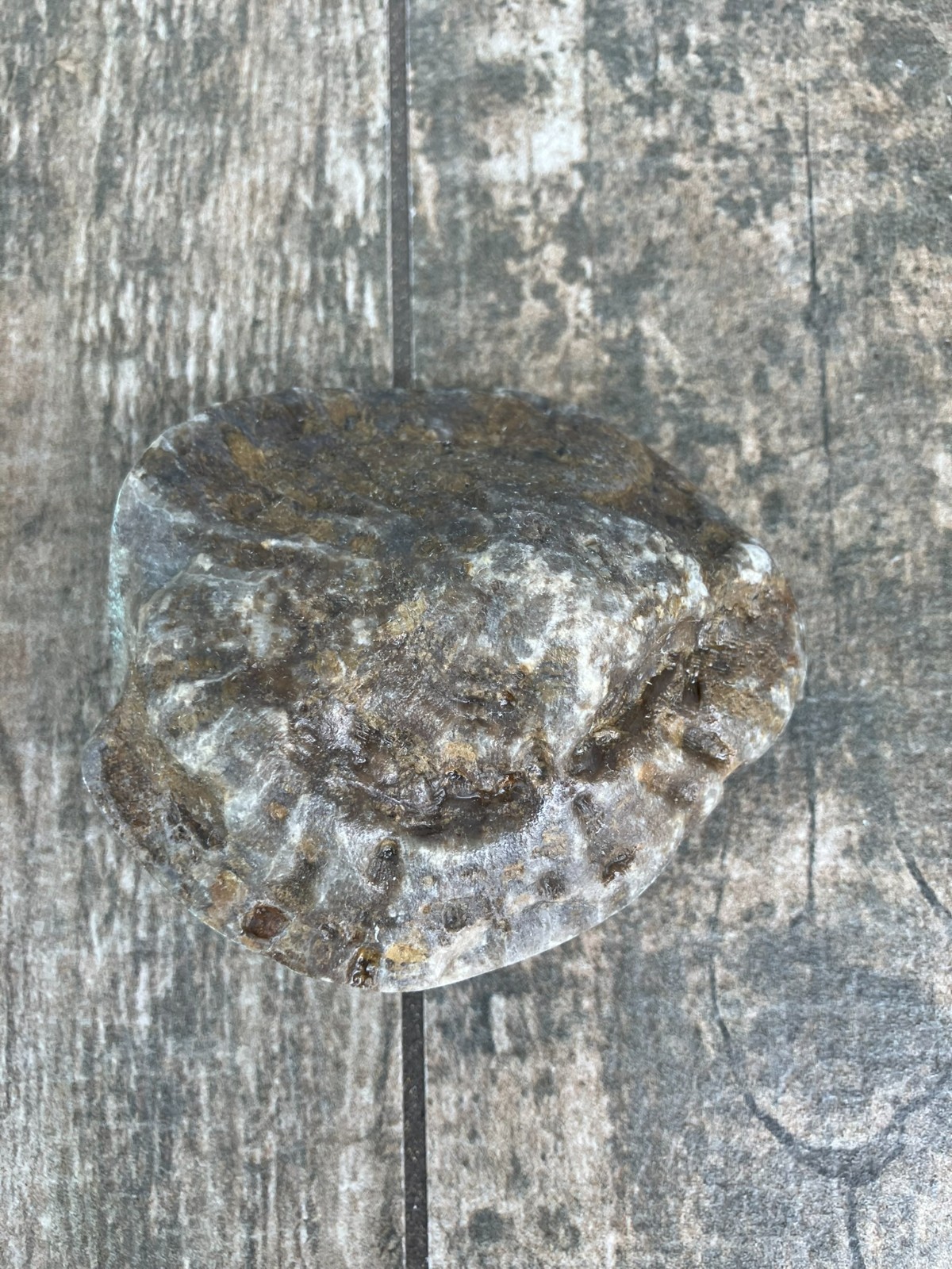 10.6oz Beautiful Polished Petoskey Stone Fossil Lake Michigan Coral Dark Eye