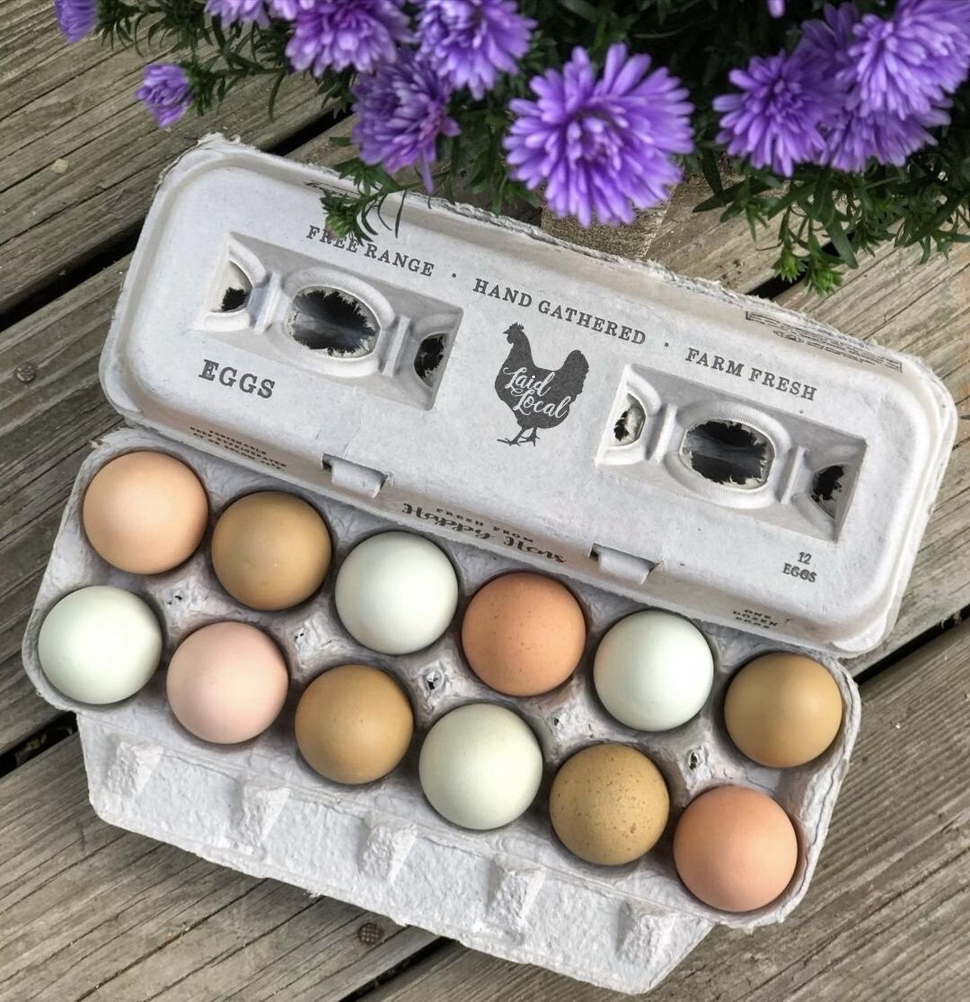 Henlay Laid Local Egg Cartons - Adorable Printed Vintage Design - 25, 90, or 250