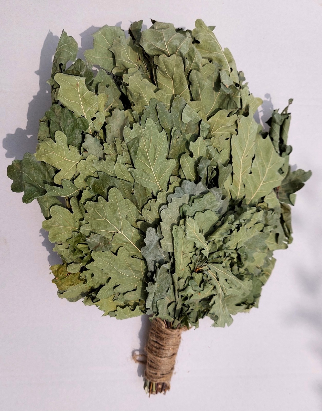 12st Oak brooms+herbs sauna banya venik whisks Eiche eco 2025 Ukrainian free shi