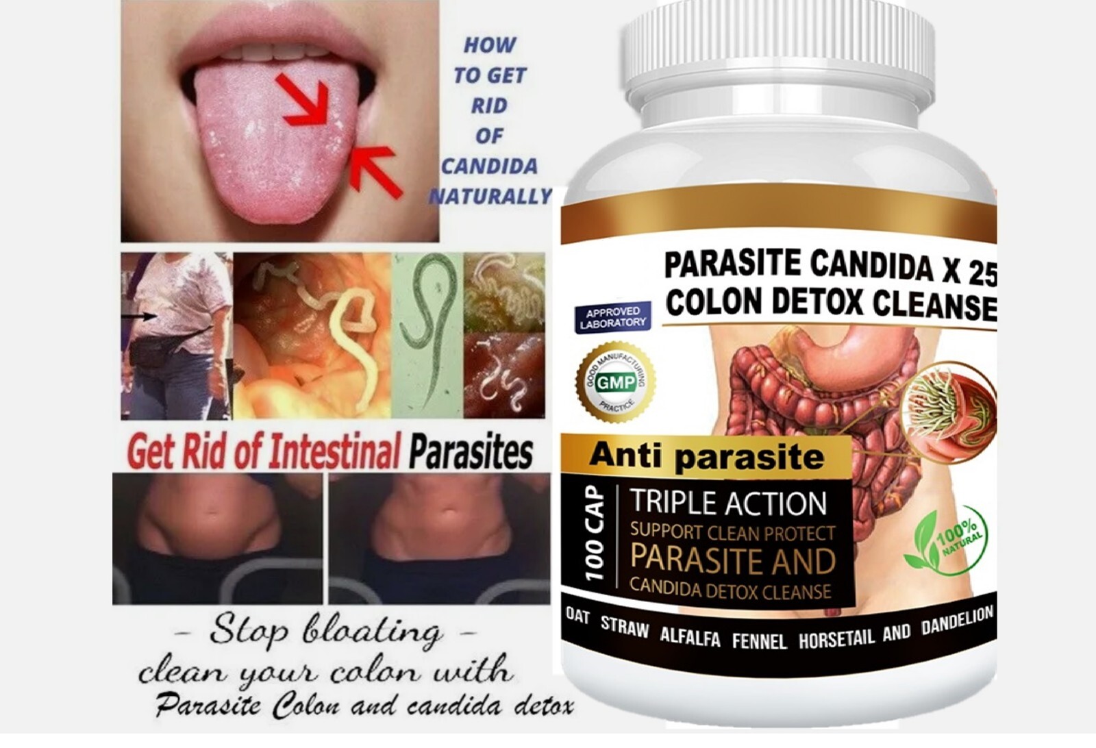 PARASITE DETOX BODY CLEANSE Complex Anti- PARASITE Support Cleanse 100 quick