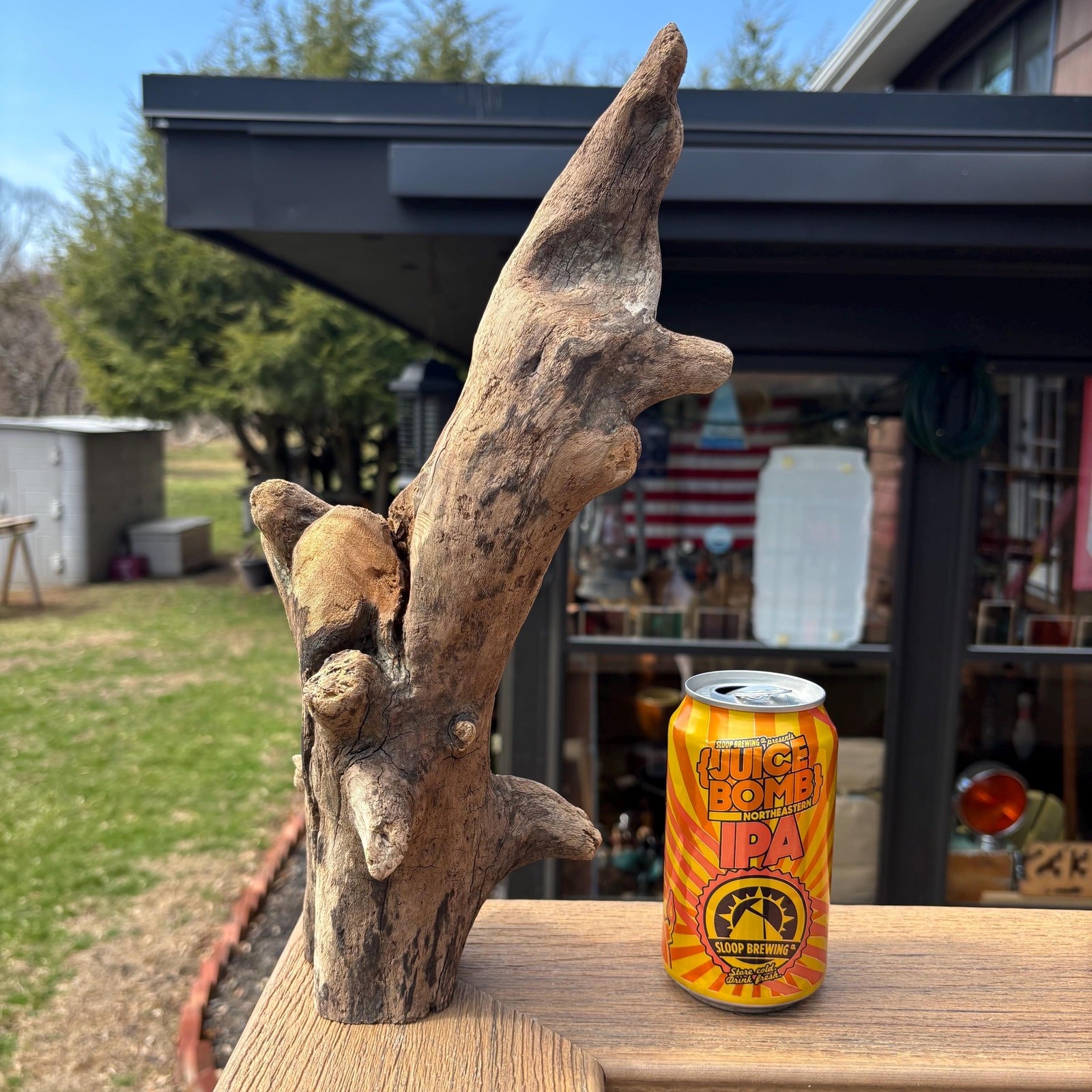 Knobby Tree Shaped Driftwood 14x5x5 – Sculptural Natural Wood Decor