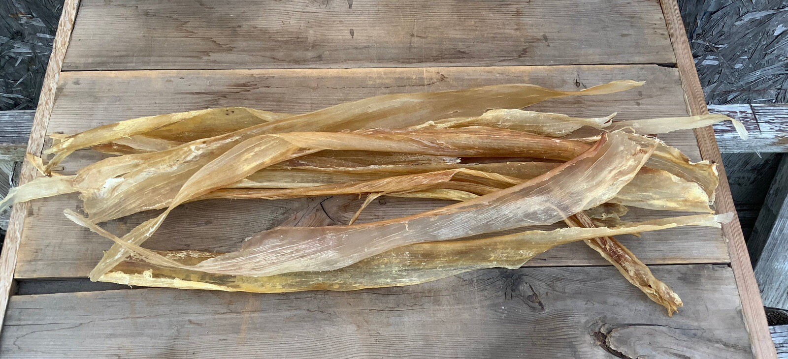 5 Deer Backstrap Sinew Authentic 14-16”