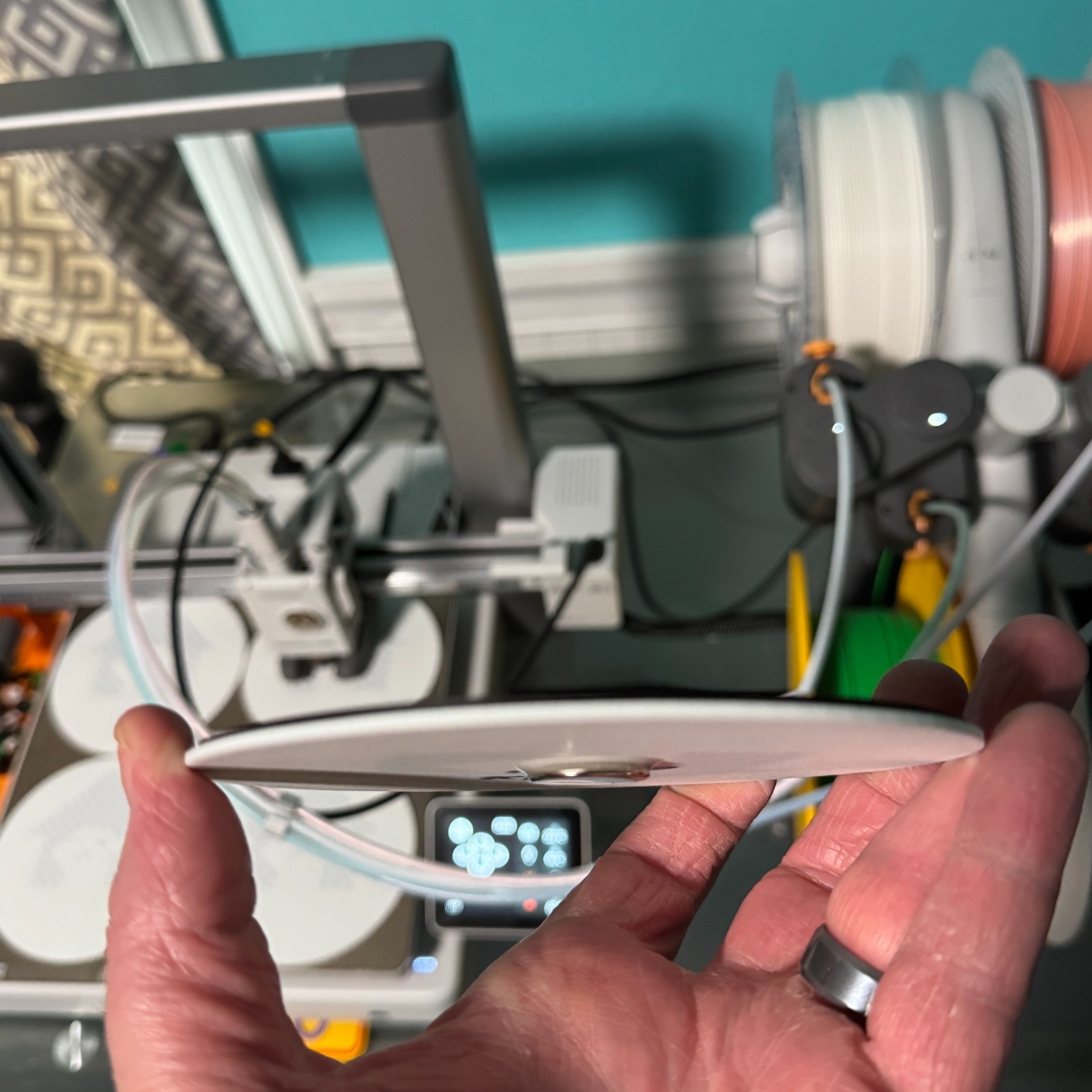 SHED FLIPS - Refrigerator Sign Magnet -4.9" diam. - Signed and #'d - Made in USA