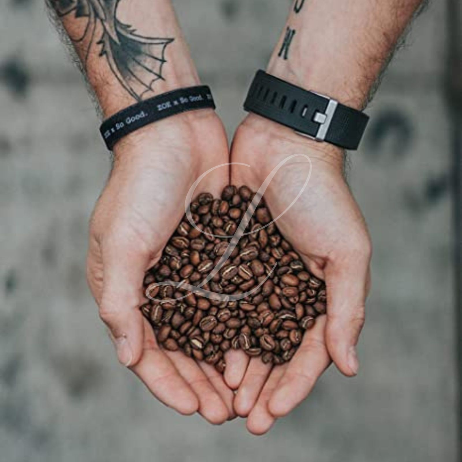 100% Kona Extra Fancy Coffee, 5 lbs, Green Beans or Medium Roasted to Order!