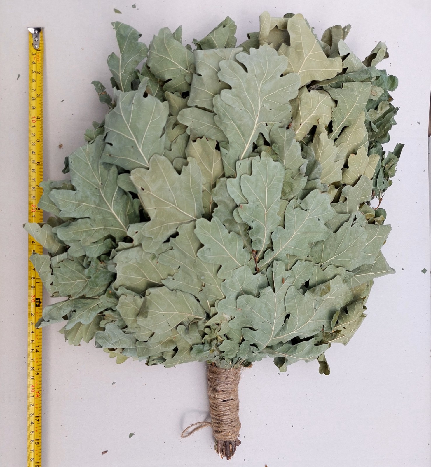 18st Oak brooms+herbs sauna banya venik whisks Eiche eco 2025 Ukrainian free shi