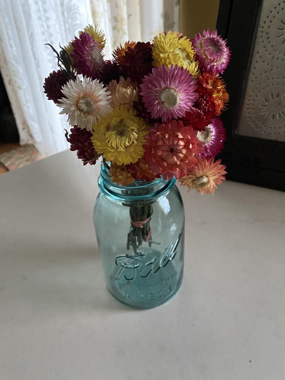 Beautiful STRAWFLOWERS Assorted Bunch BOUQUET Bundle DRIED Flowers USA Auc#3