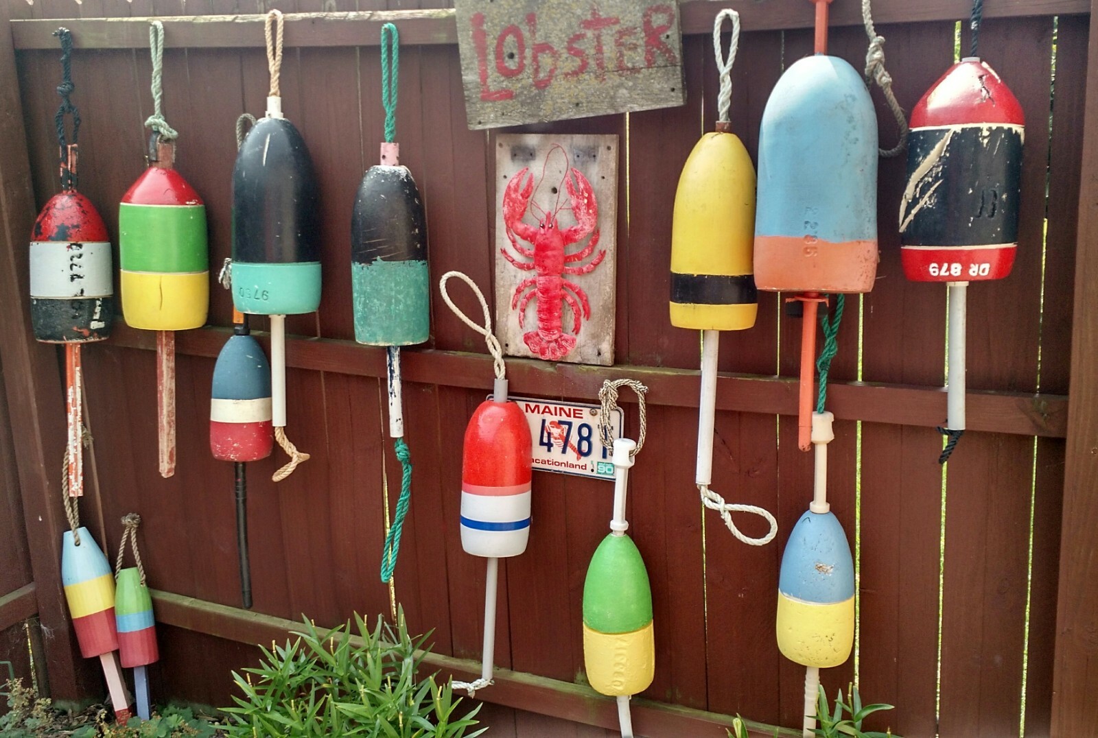 FREE SHIP 183 Maine Lobster BUOY nautical pot bouy float shore crab Lake CAPE