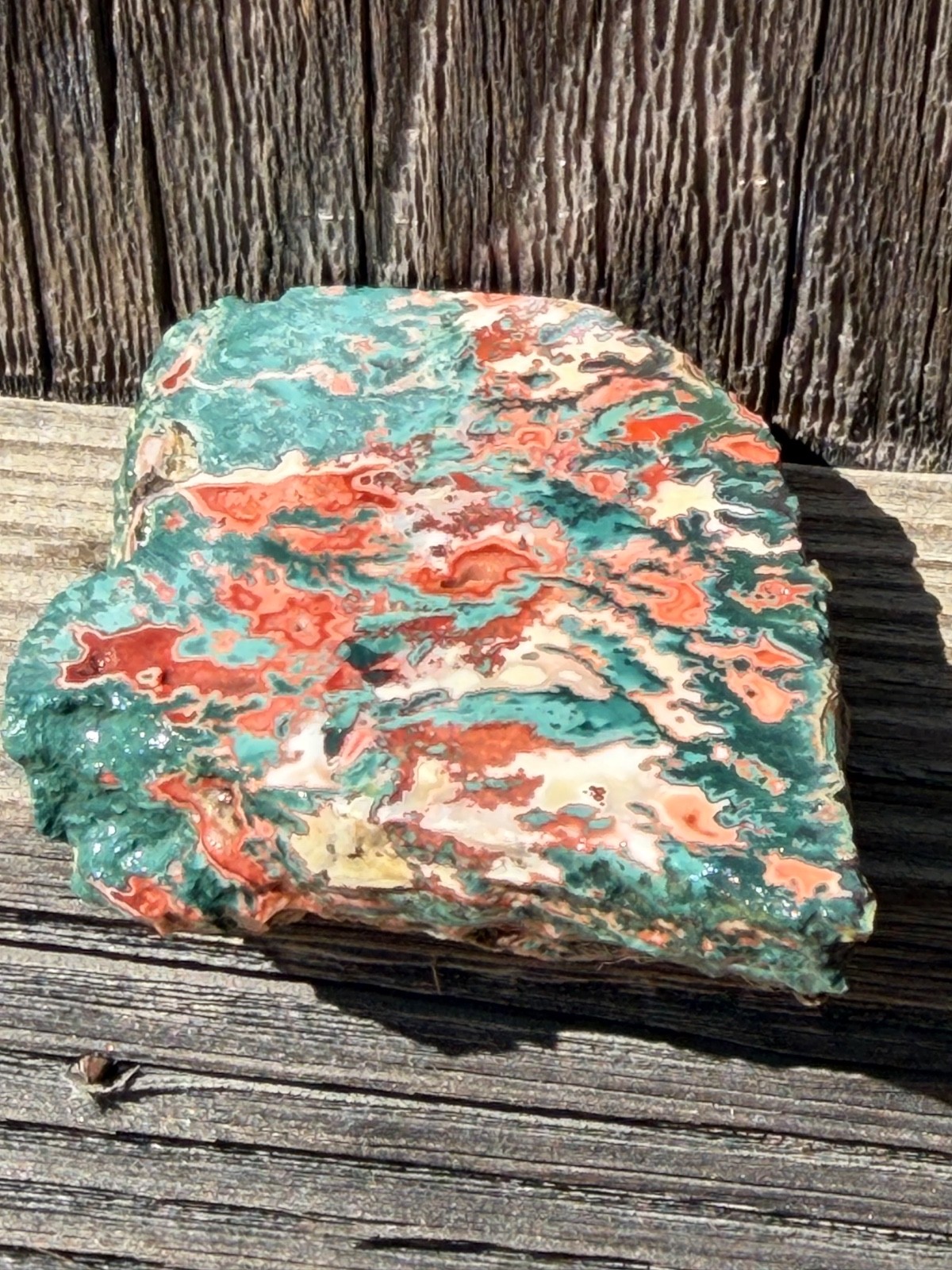 Idaho Sunset Jasper Agate Unpolished Rock Slab