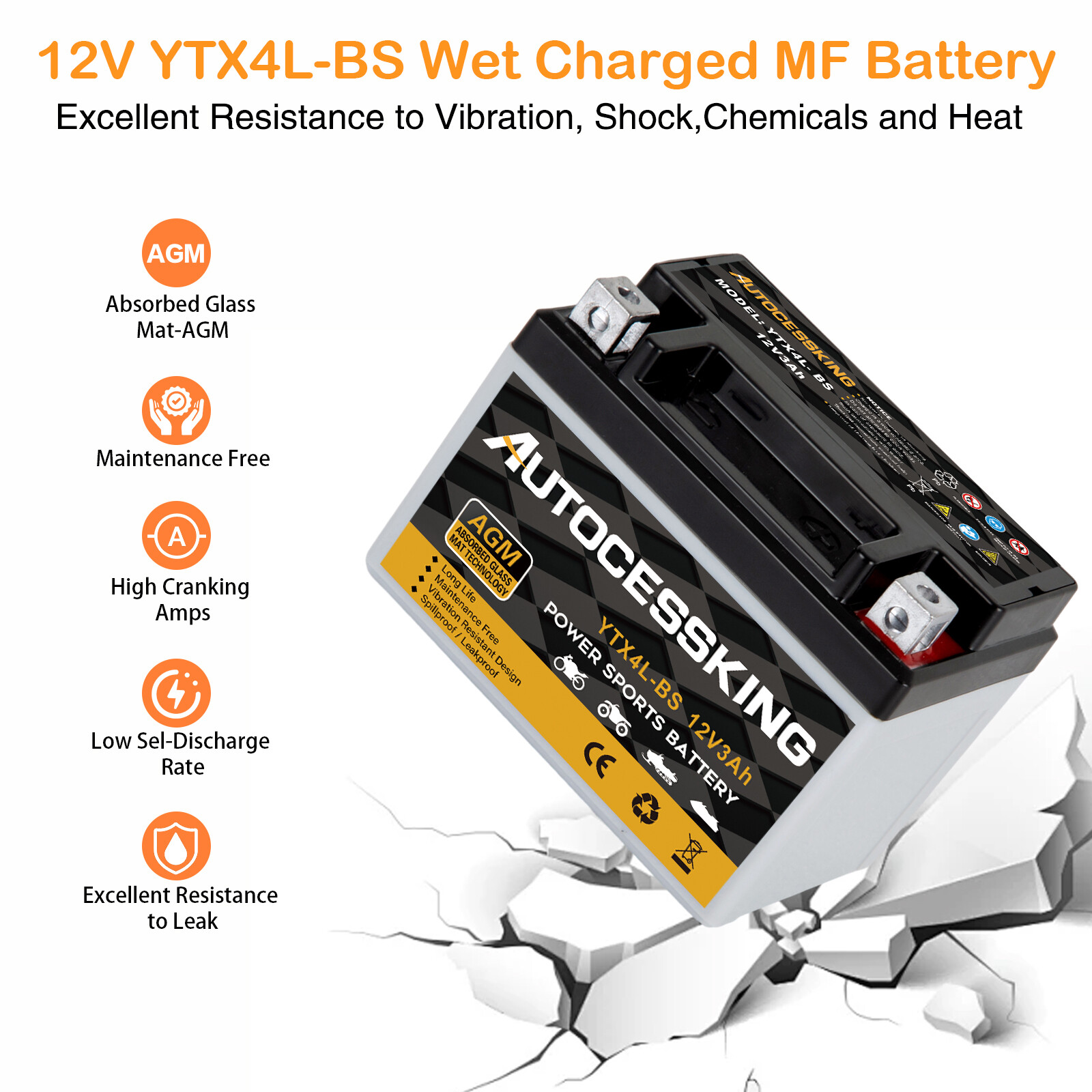 YTX4L-BS Battery AGM High Performance Maintenance Free Replace Motorcycle ATV