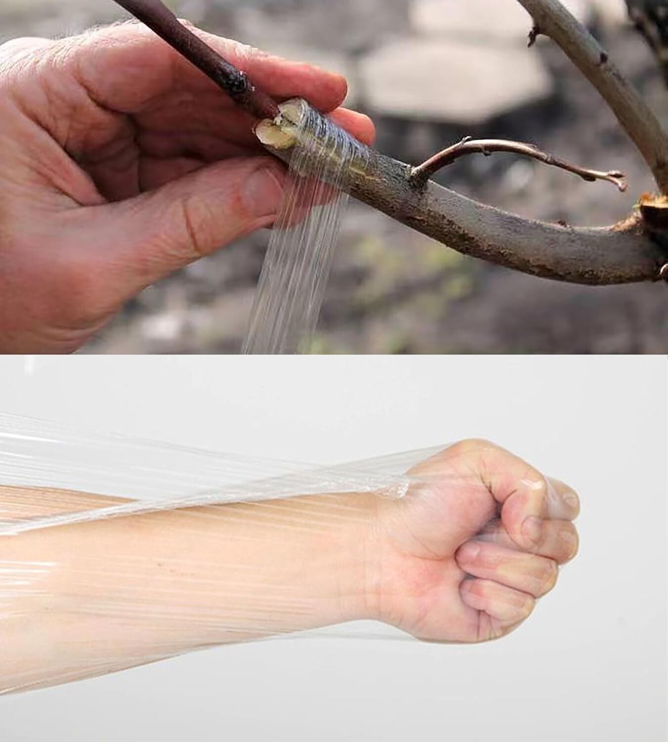 3 Rolls Grafting Tape Stretchable Garden Plants Repair Tape for Fruits Tree