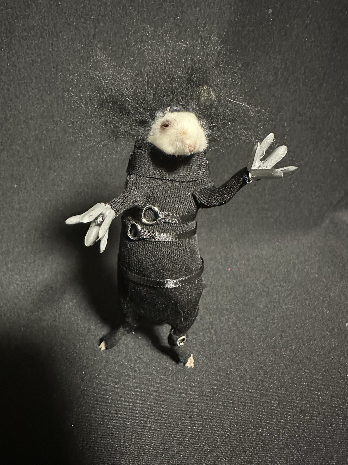 Taxidermy Mouse Edward Scissorhands Mouse Oddities Curiosities Taxidermy Art