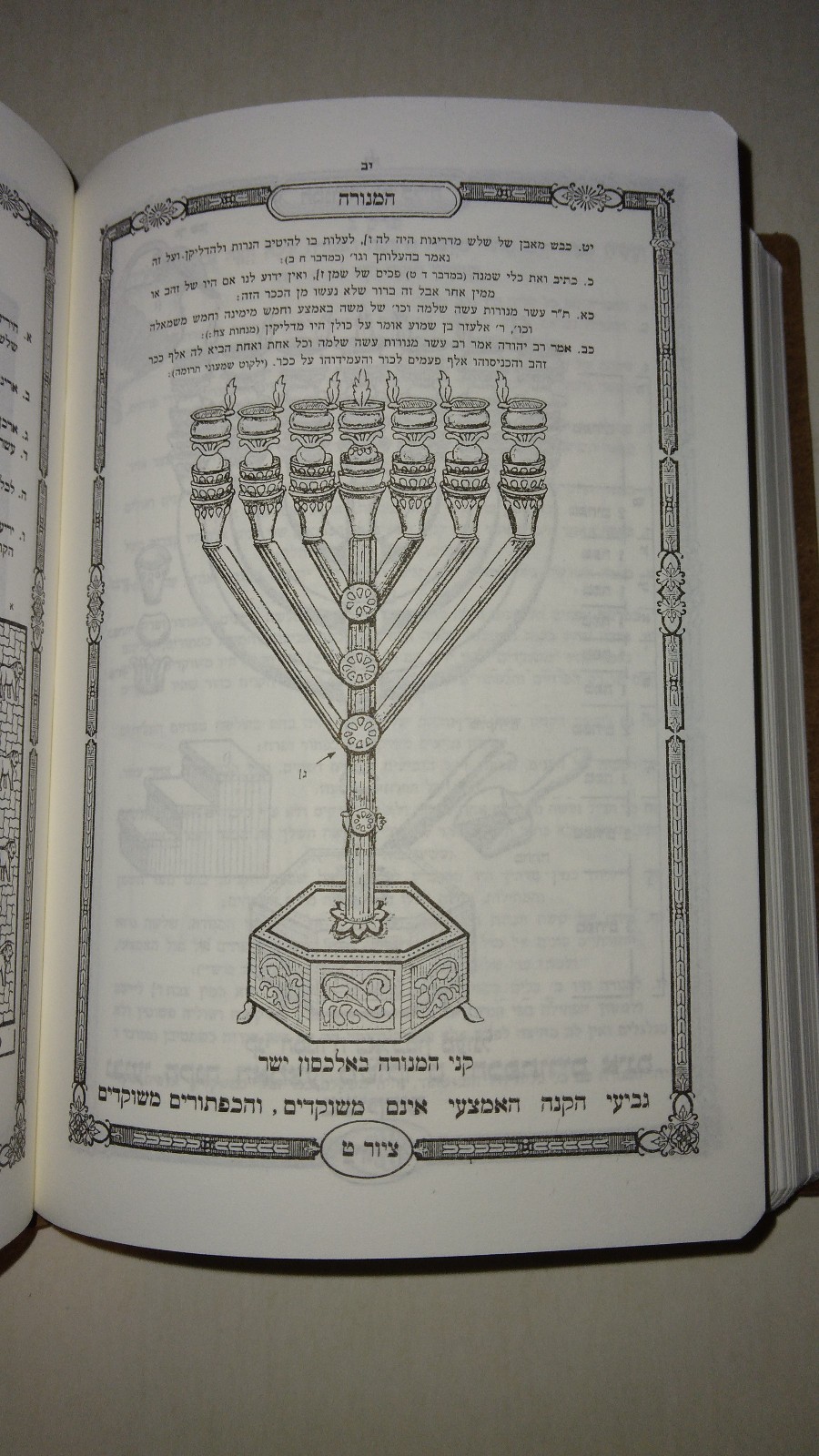 חמשה חמשי תורה Five Books of Moses Chumash Torah 5 Volume Set Hebrew Flex Covers