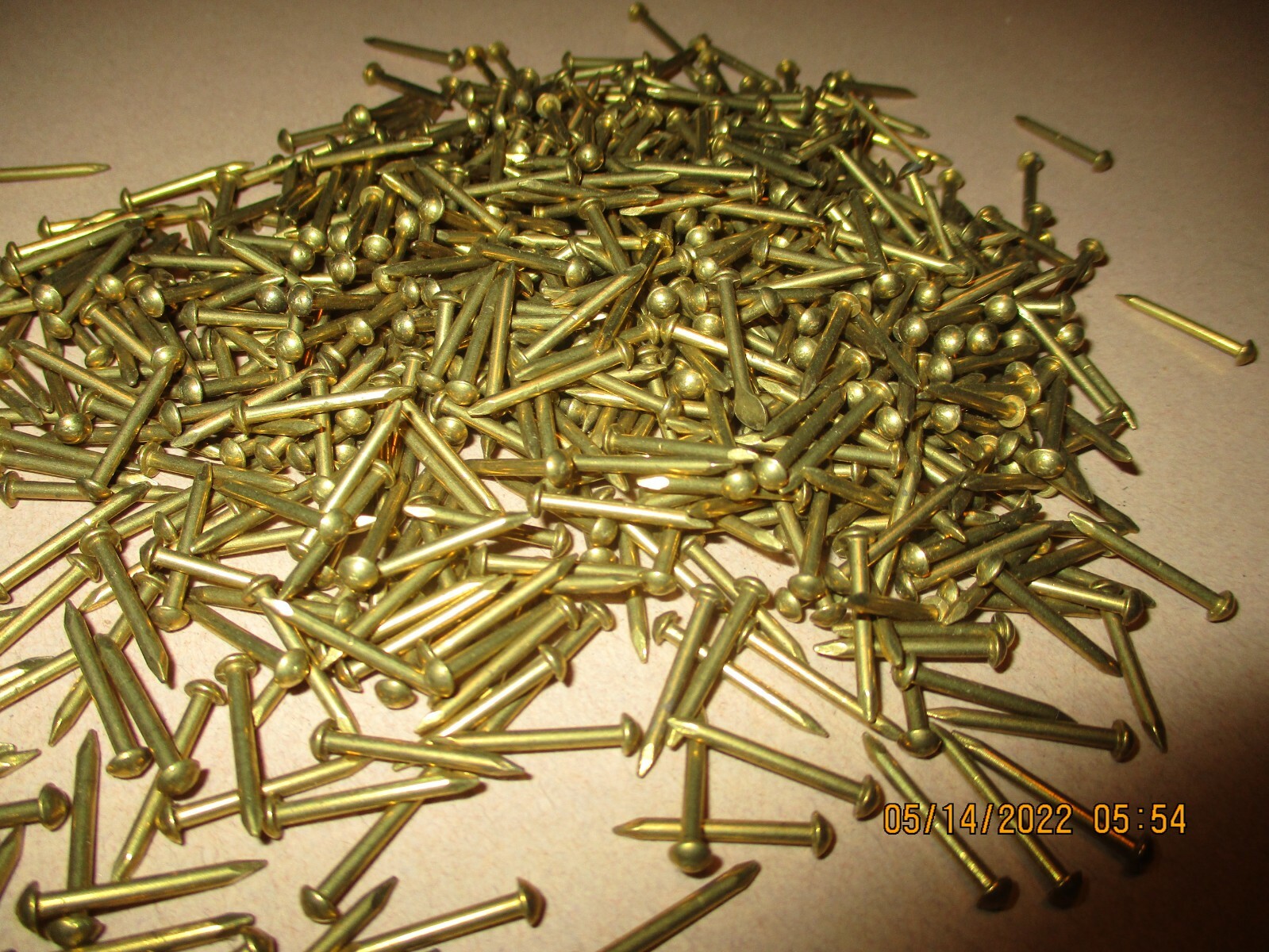 100 VINTAGE 5/8" X #16, SOLID BRASS BRAD NAILS, ROUND DOME HEAD ESCUTCHEON PINS