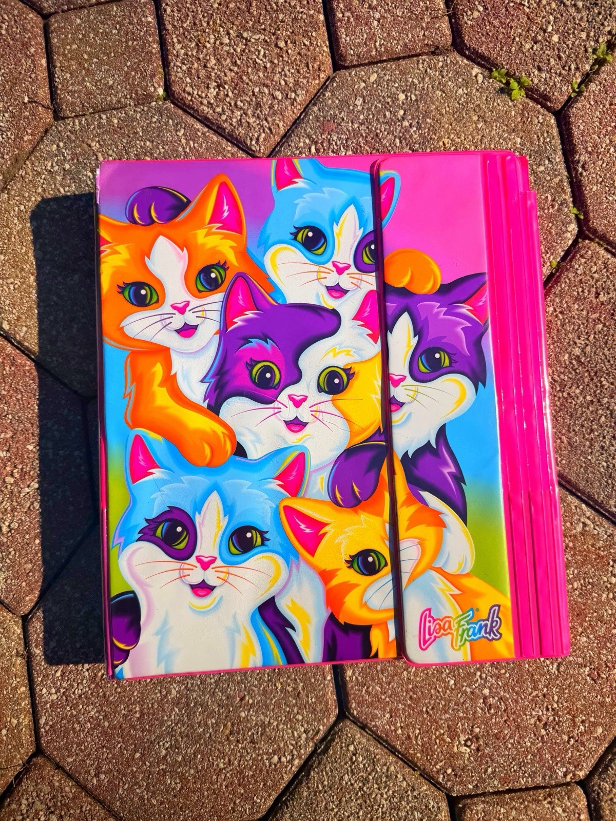Vintage Lisa Frank Trapper Binder Cats Rare