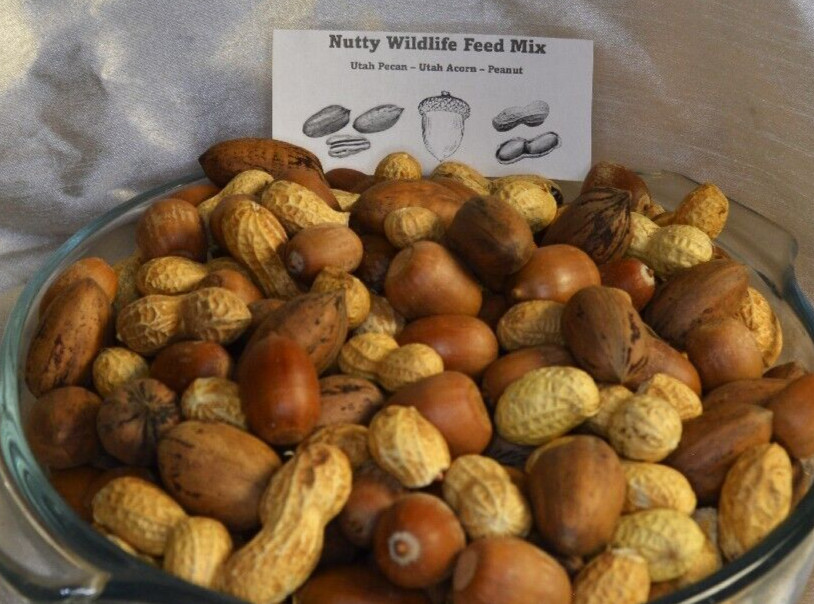 2 LBS Nutty Wildlife Feed Mix with Utah Acorn, Utah Pecan, Peanut In Shell Nuts