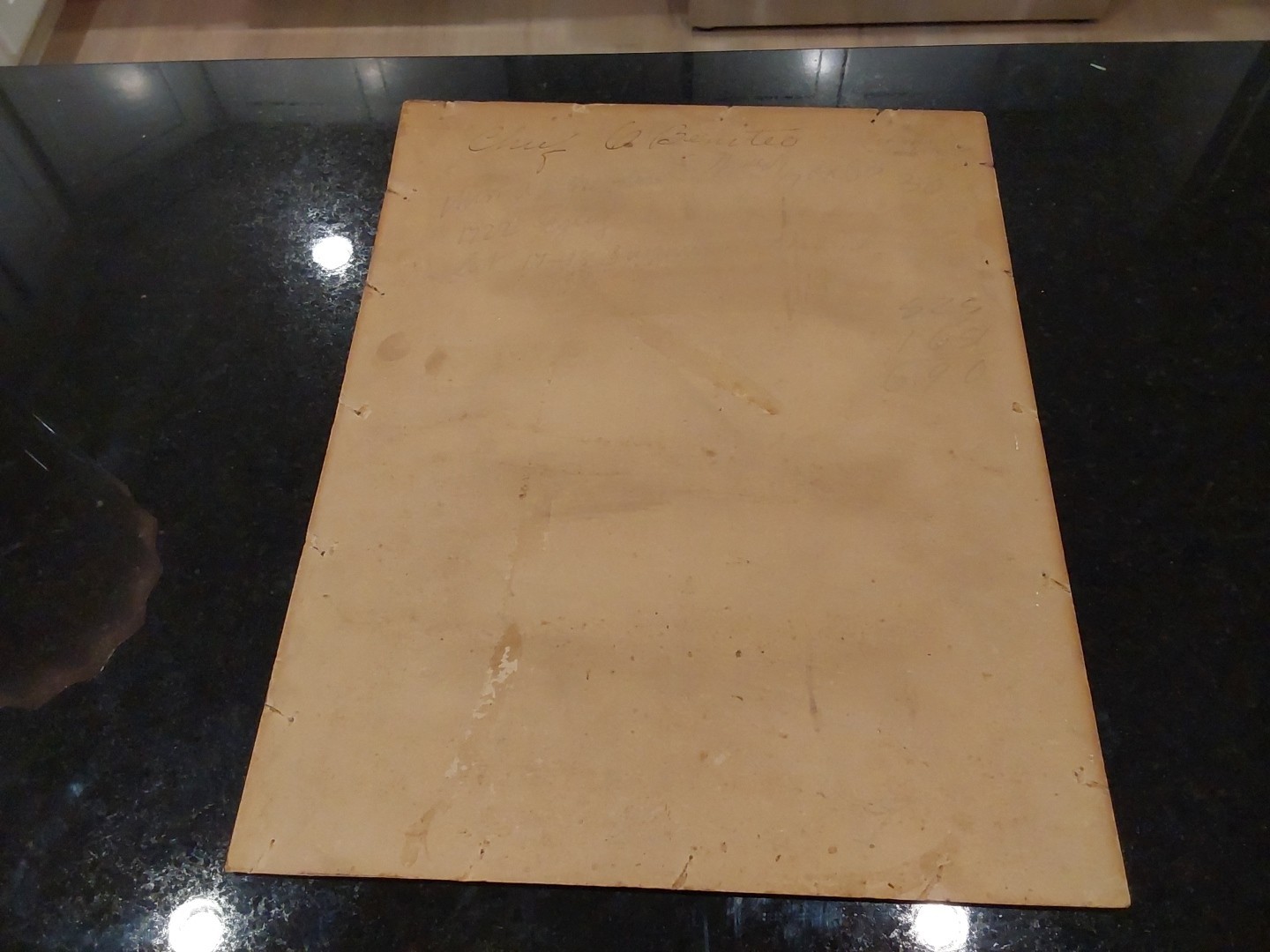 Native American Utes Chief Buckskin Charlie Photochrom Detroit Photographic Co.