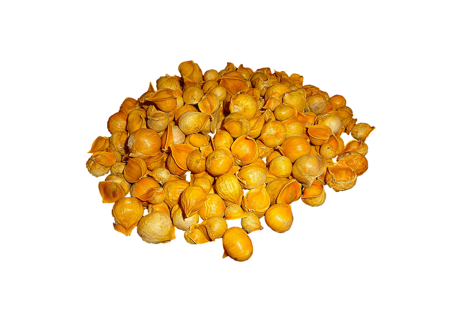 AJO JAPONES (JAPANESE GARLIC) // WEIGHTS: 1 LB,2 LBS, 5 LBS 10 LBS, & 20 LBS!