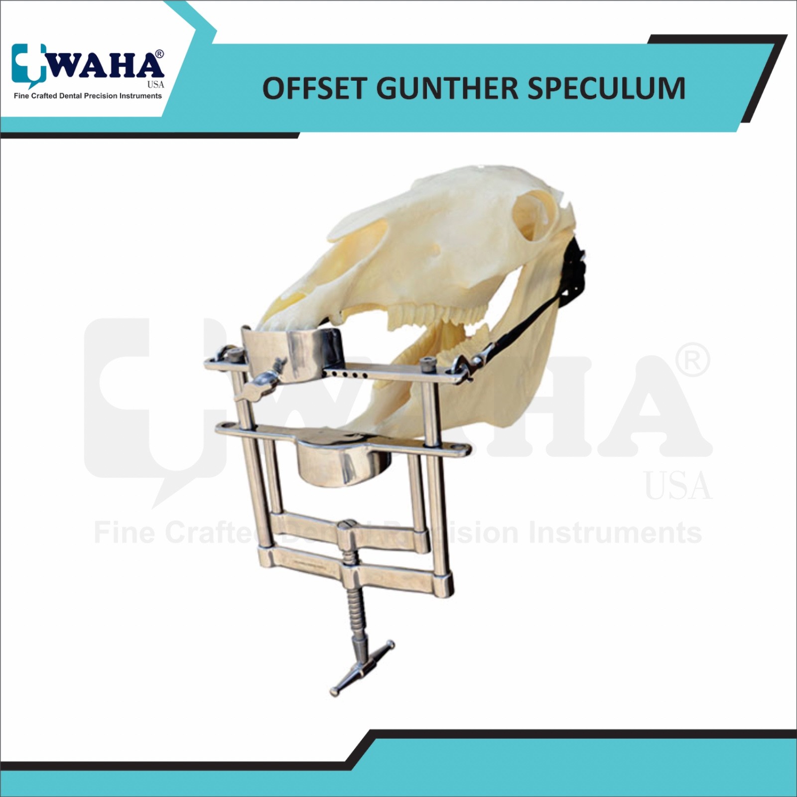 Offset Gunther Mouth Speculum Equine Dental With Biothene Straps Stainless Steel