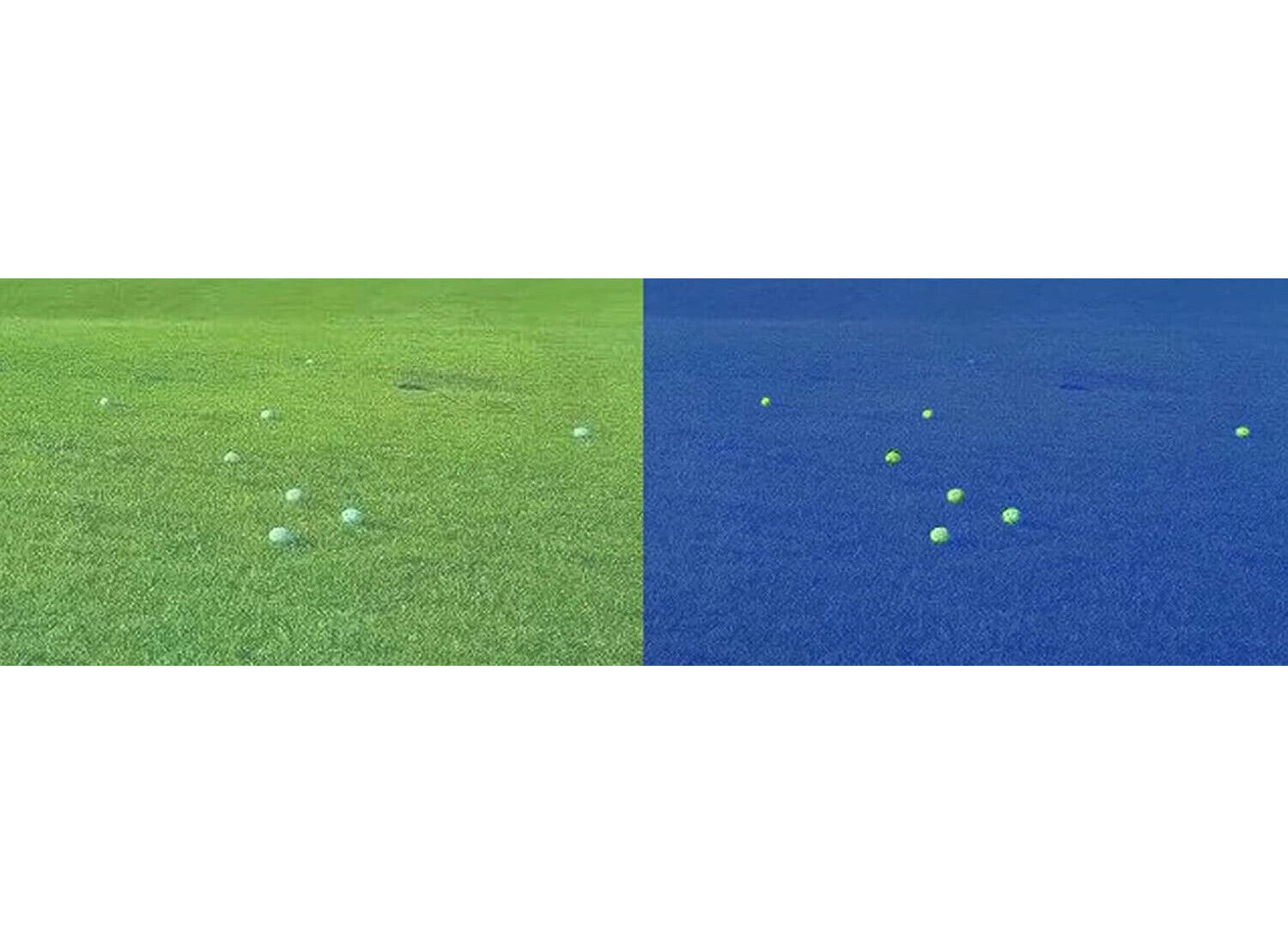 NEW Mushroom Finding & Antler Shed Hunting Blue Hunting Finder Glasses