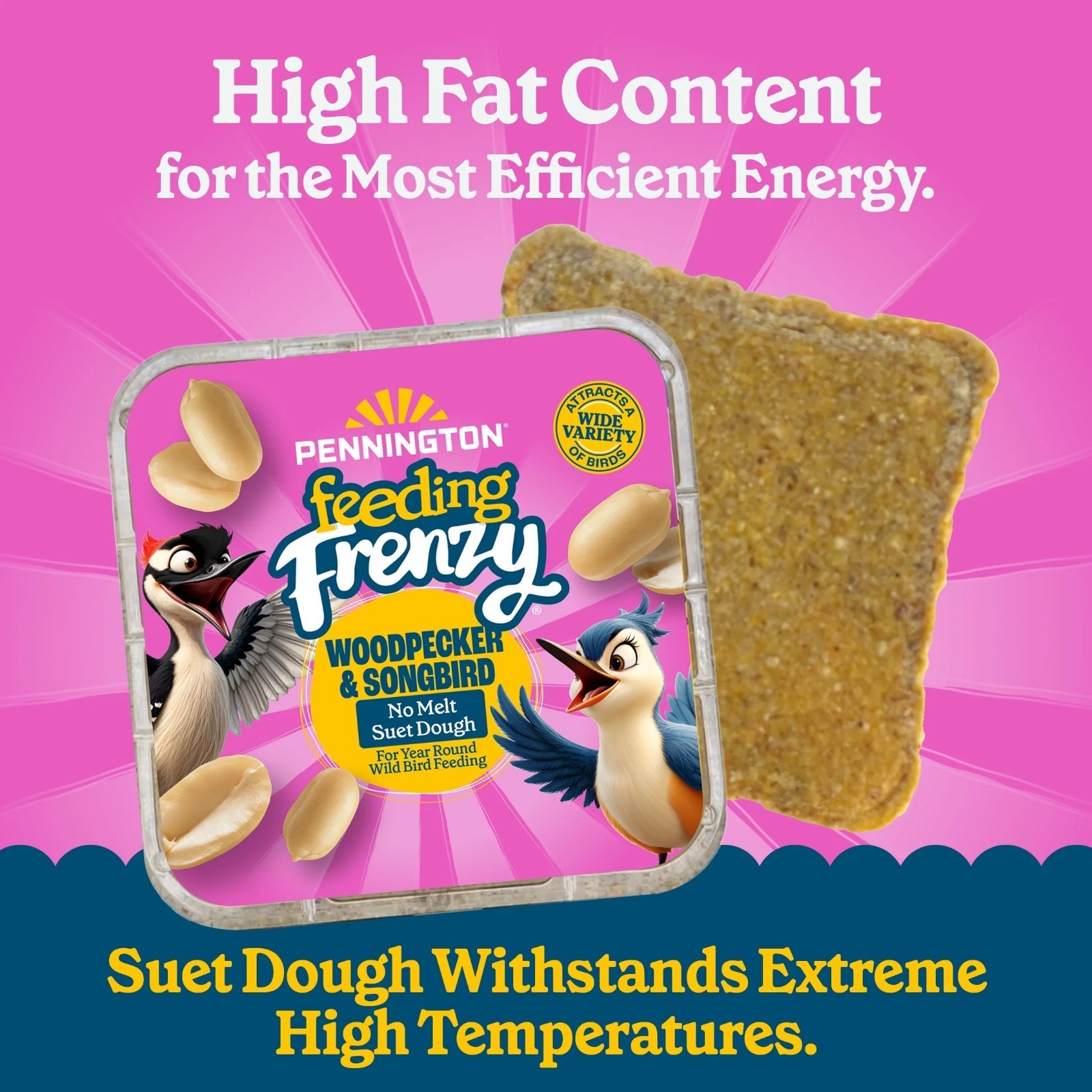 Pennington Feeding Frenzy No-Melt Suet Dough Woodpecker & Songbird Suet Cakes fo