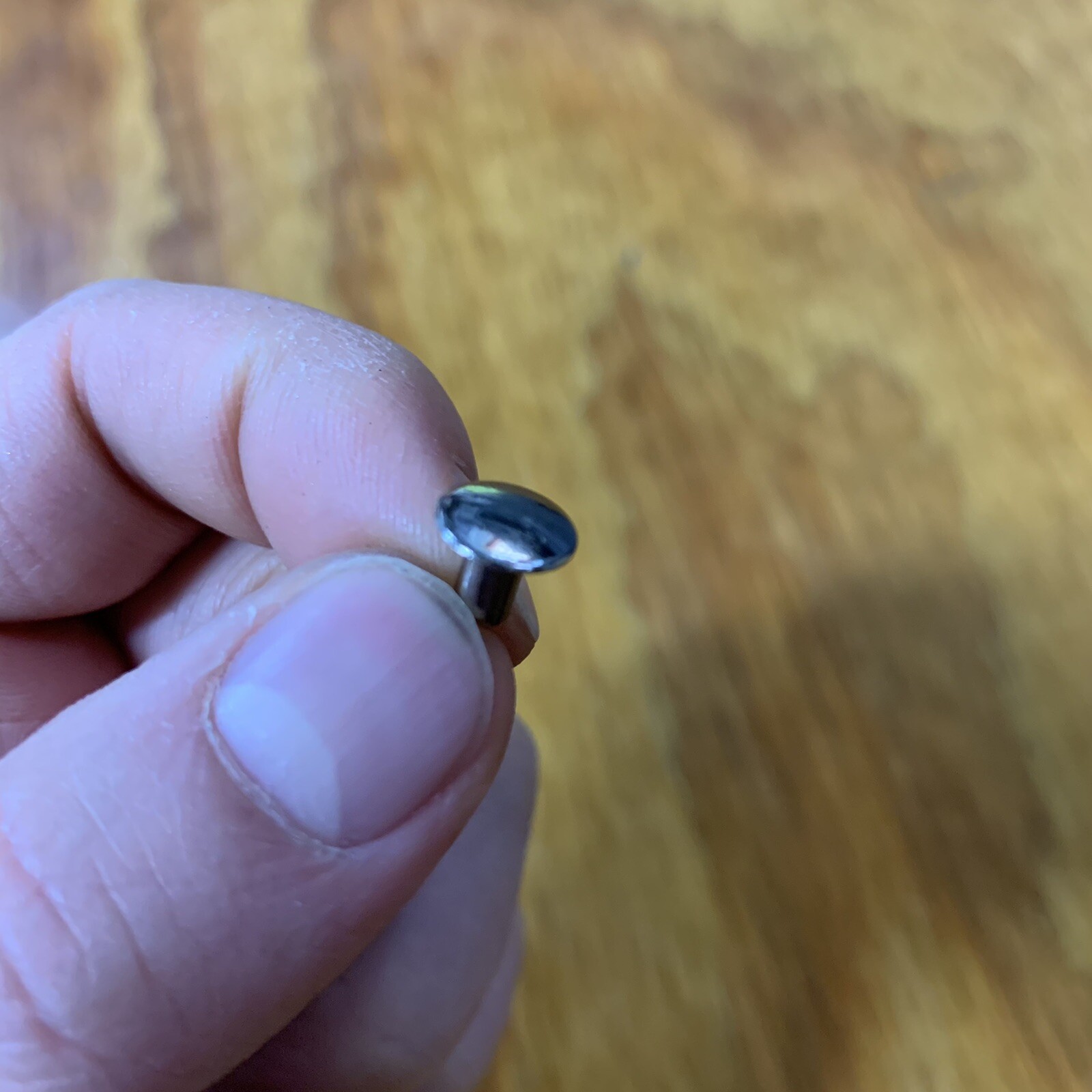 10 FENDER RIVETS AUTHENTIC FITS SCHWINN STINGRAY KRATE & OTHERS VINTAGE NOS