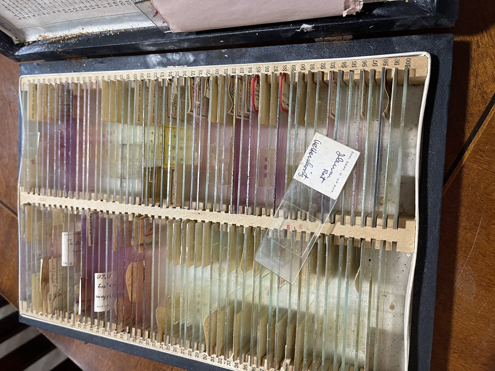 BOX OF 100 ANTIQUE MICROSCOPE SLIDES – ZOOLOGY 1920s Scientific
