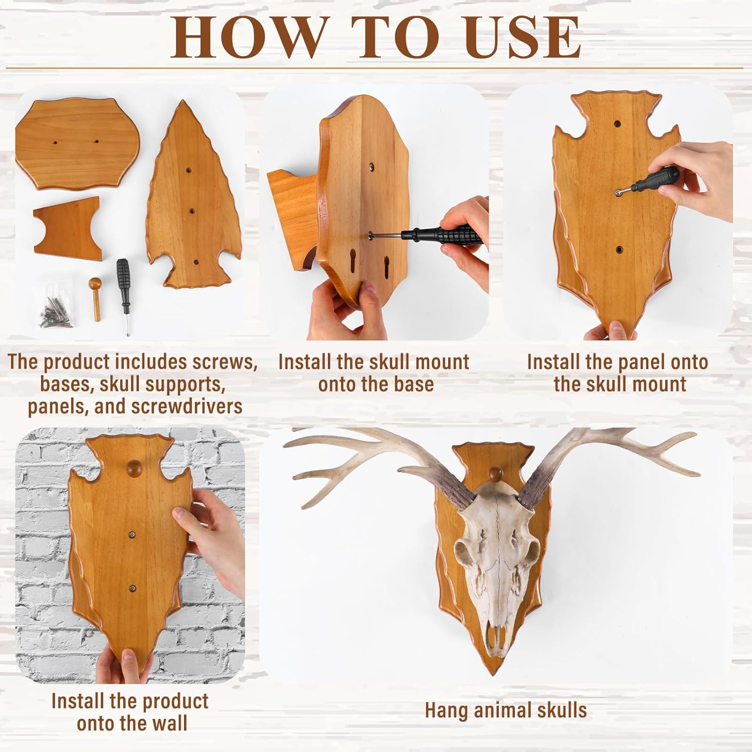 3 Set Deer European Skull Mount Kit Antler Skull Mounting Kit Wooden Display Mou