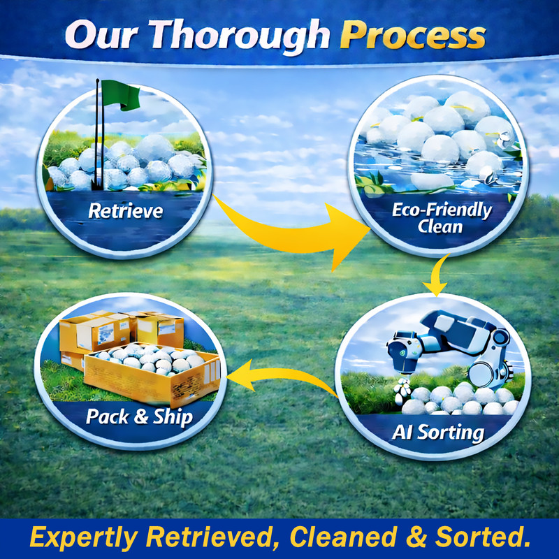 Titleist Pro V1x 2018 Left Dash RCT Used Golf Balls Pristine 12 Pack