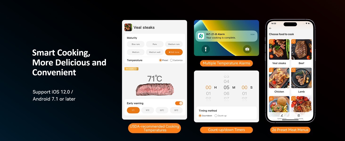 Inkbird Wireless Cooking Meat Thermometer 60min Data Storage 25min Rechargeable
