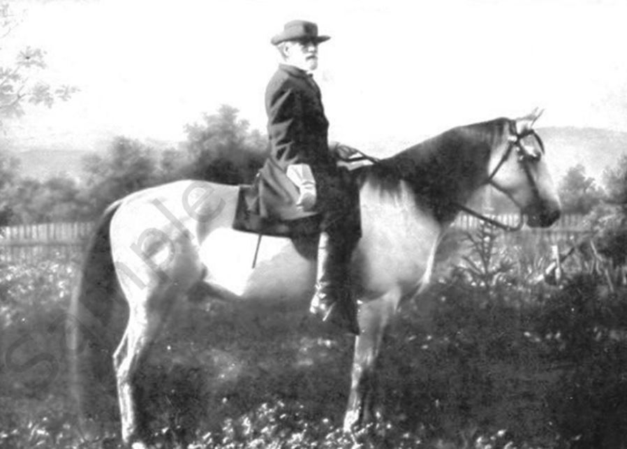 Robert E. Lee Horse Traveller PHOTO Confederate General CSA Rebel Horse