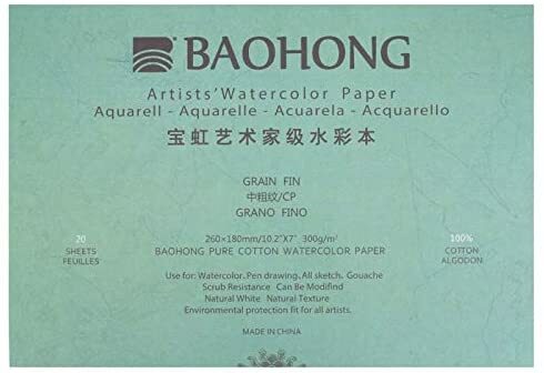 BAOHONG Artists' Grade Watercolor Painting Paper,100%Cotton Cold Press,20 Sheet