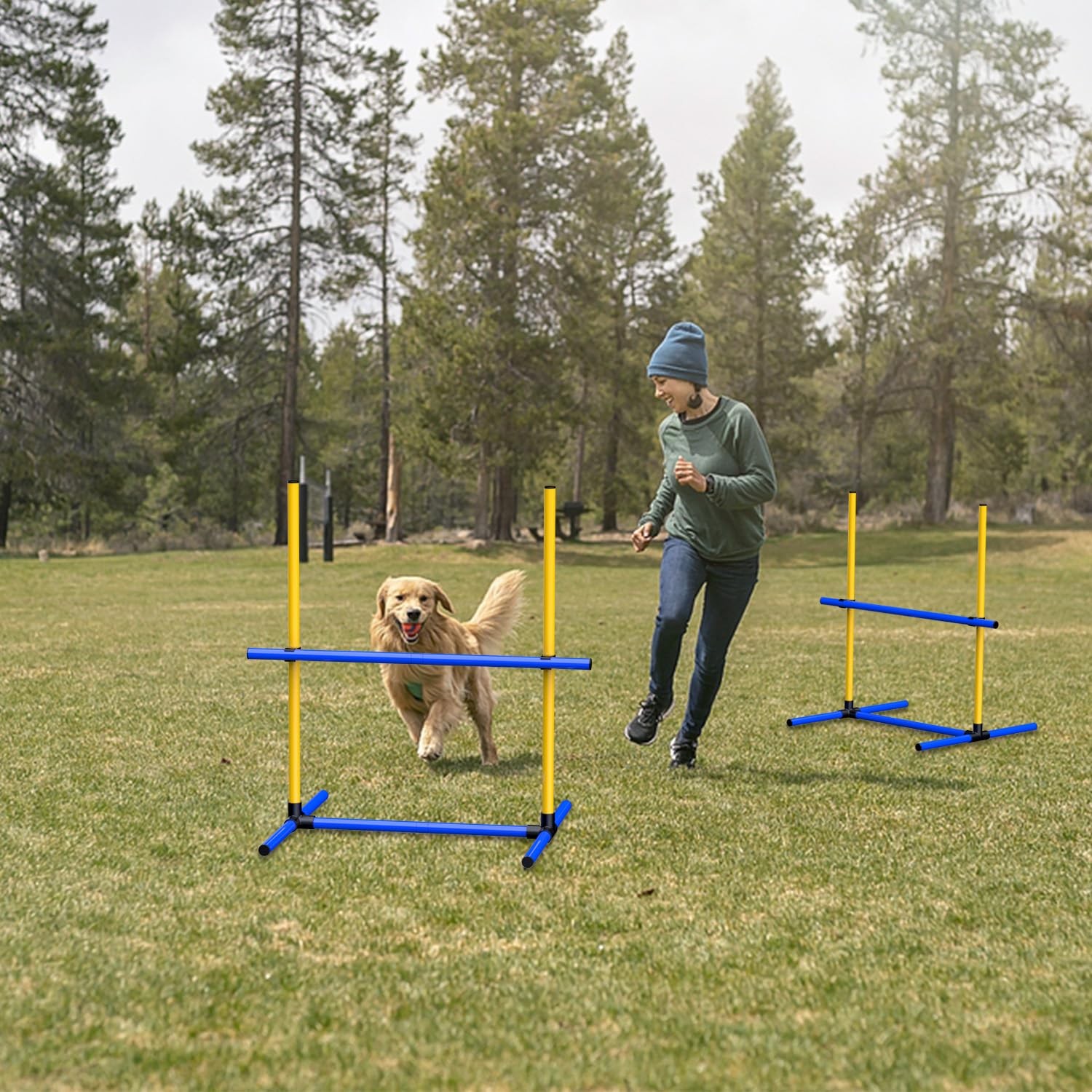 Adjustable Dog Agility Jump Set – Training Hurdles with Height Adjustable Bar...