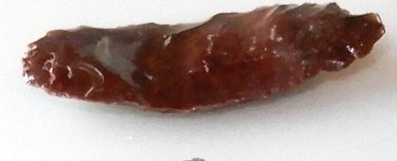 Five pieces of Obsidian, Granite Creek, Chino Valley, Arizona